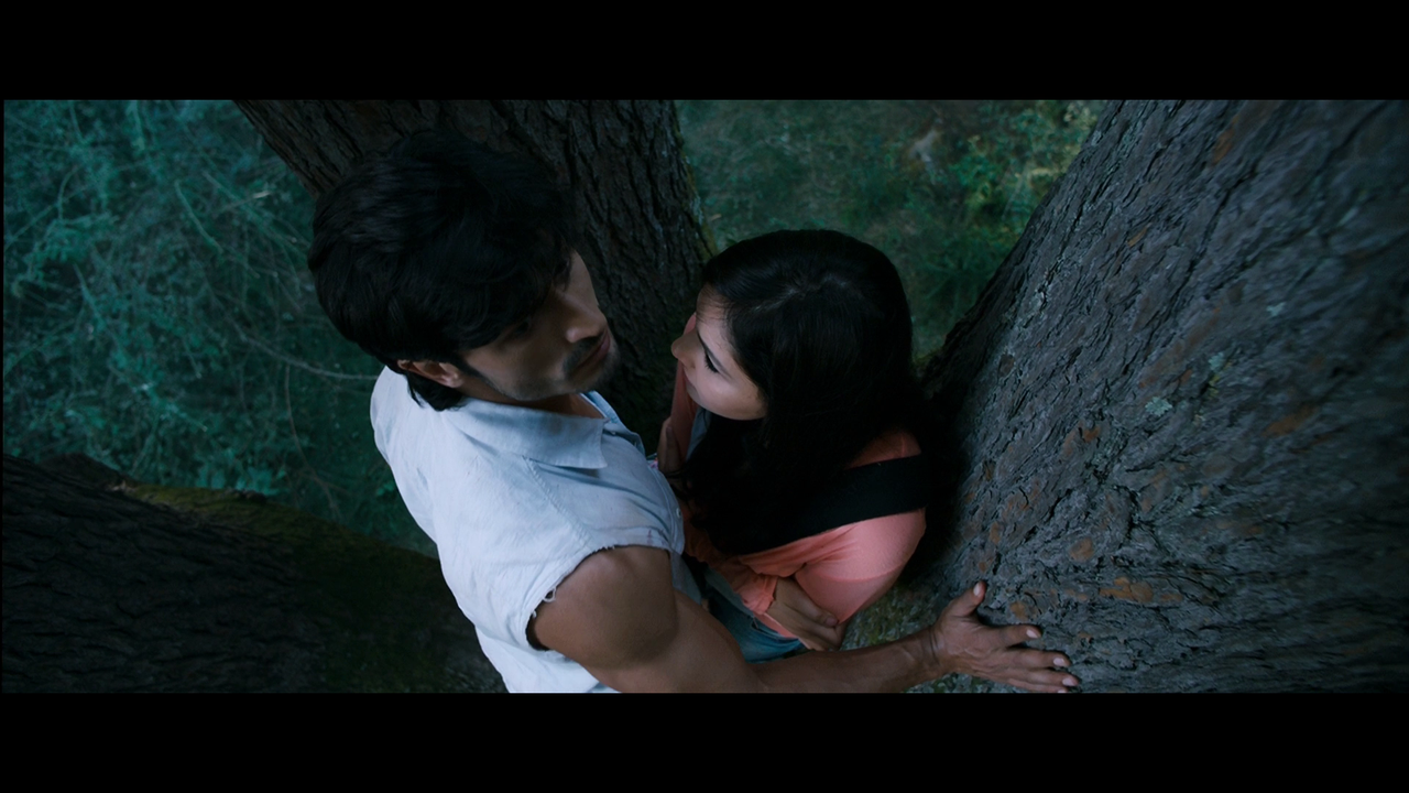 vlcsnap 2026 02 27 19h23m48s145