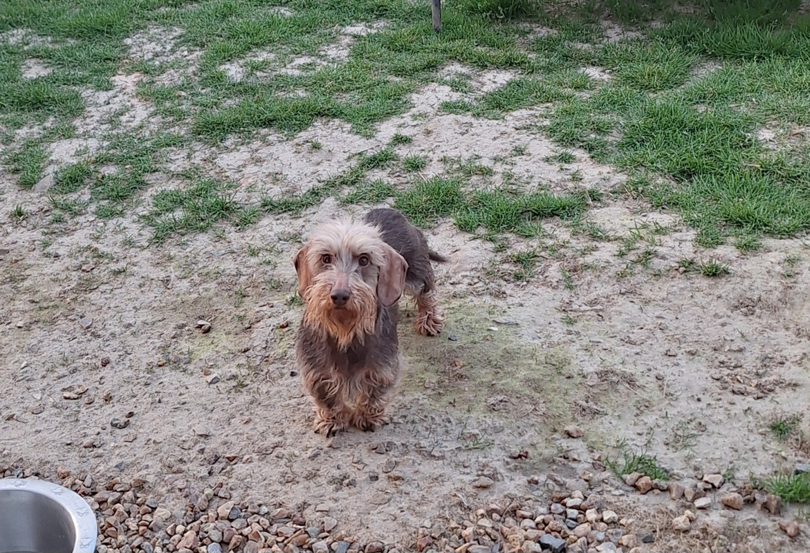 [Image: 20250409-201719.jpg]