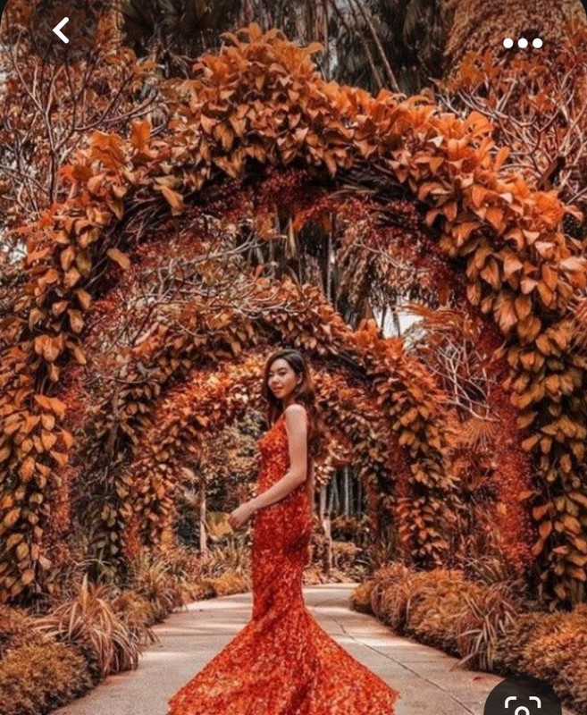 Screenshot_20231006_203055_Pinterest