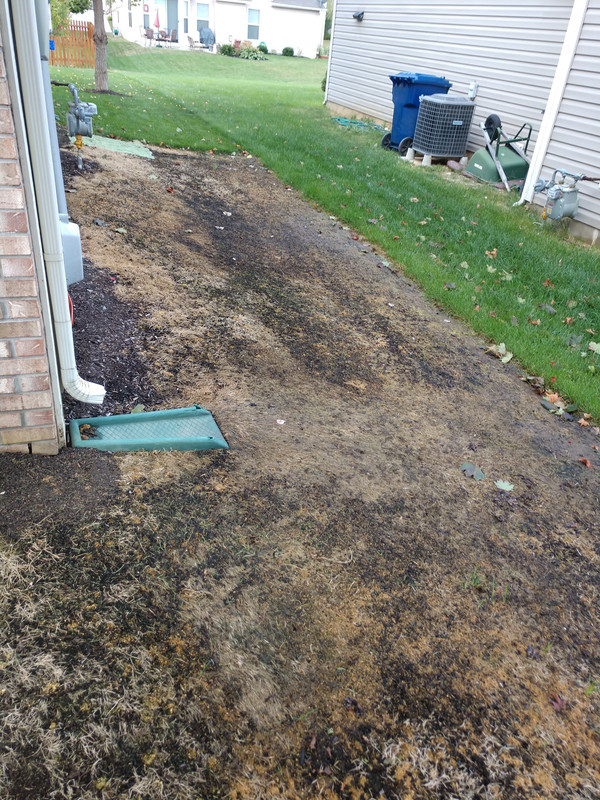 IMG_20170902_082500767