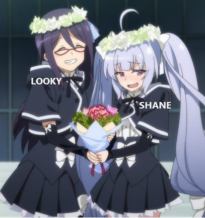 Forum Image: https://i.postimg.cc/XJkRCsNm/e45rrt5.jpg