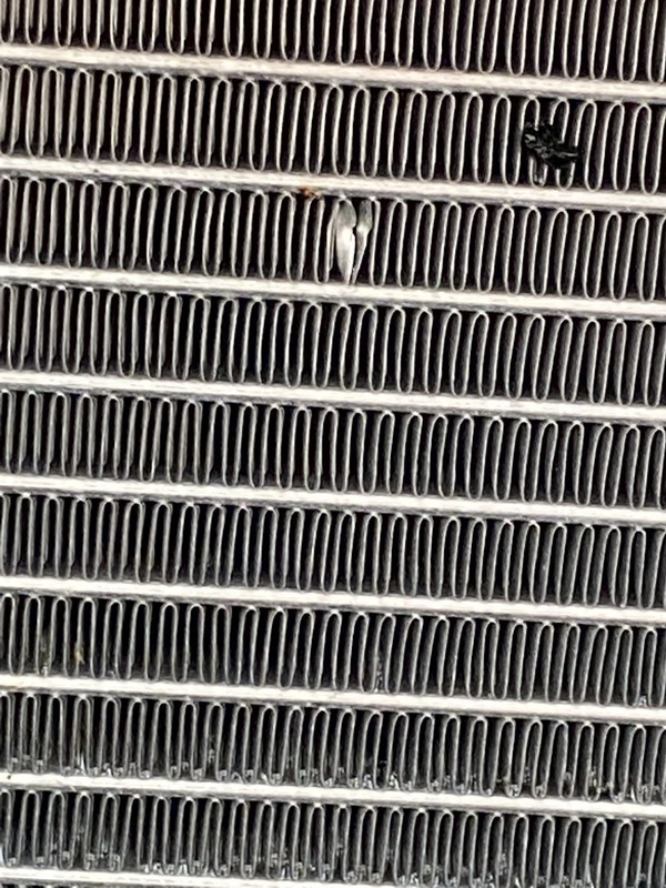 13D565D7-06A9-49D3-8541-4BEA74ECDB52