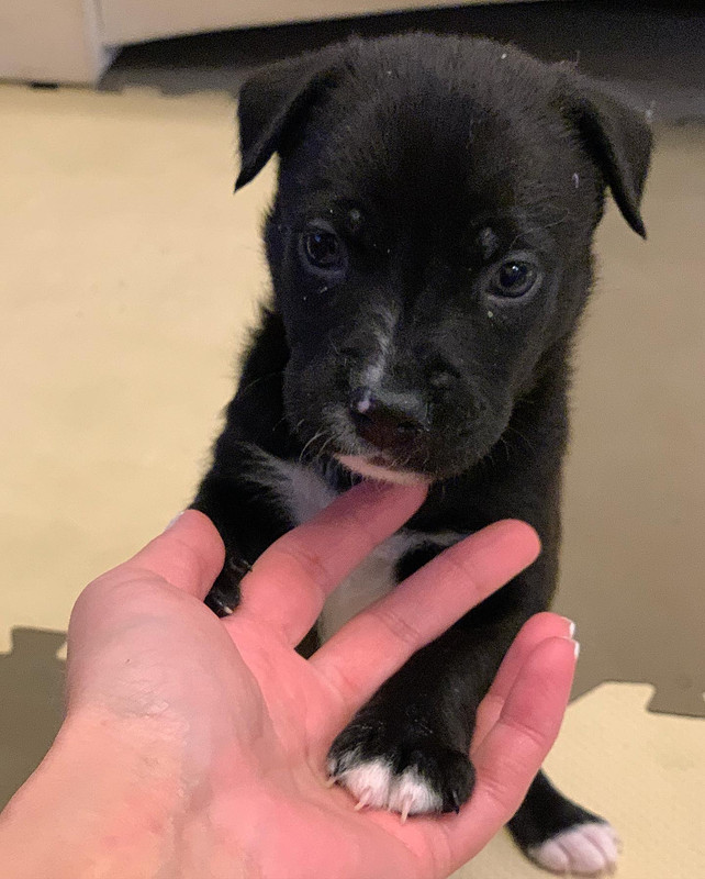 902E2BB7-4C46-4420-9FE4-C6DC35187F79