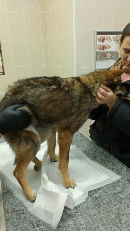 2B99C357-252C-42E4-9079-A74A000A9C17