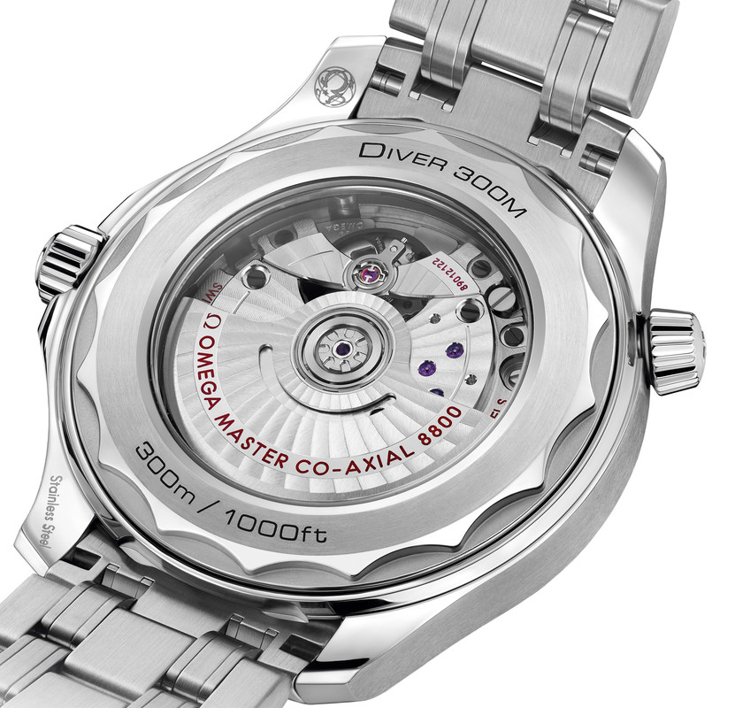 210.30.42.20.03.001_caseback