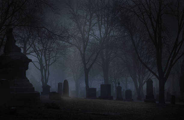 istockphoto-646990076-612x612.jpg