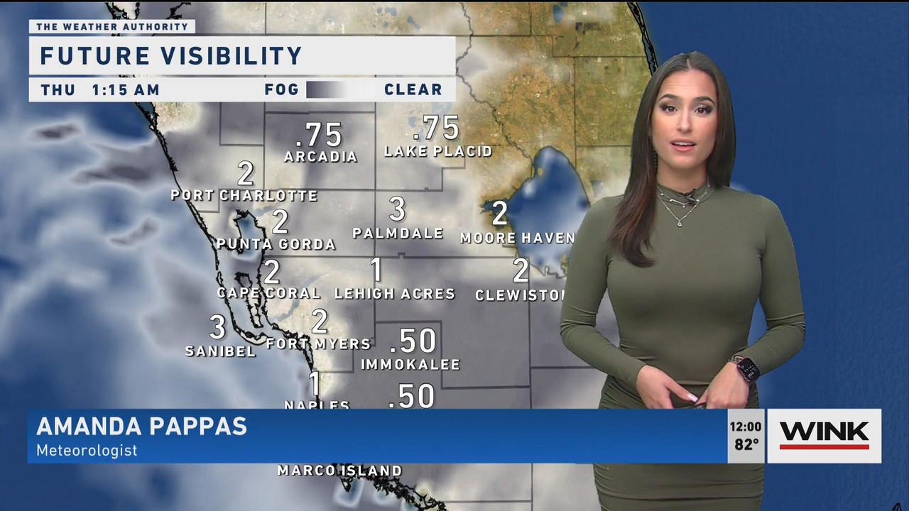 12.08 - 17.00.00 - WINK Noon News. Local news, sports and weather.ts_snapshot_06.30_[2021.12.08_23.0