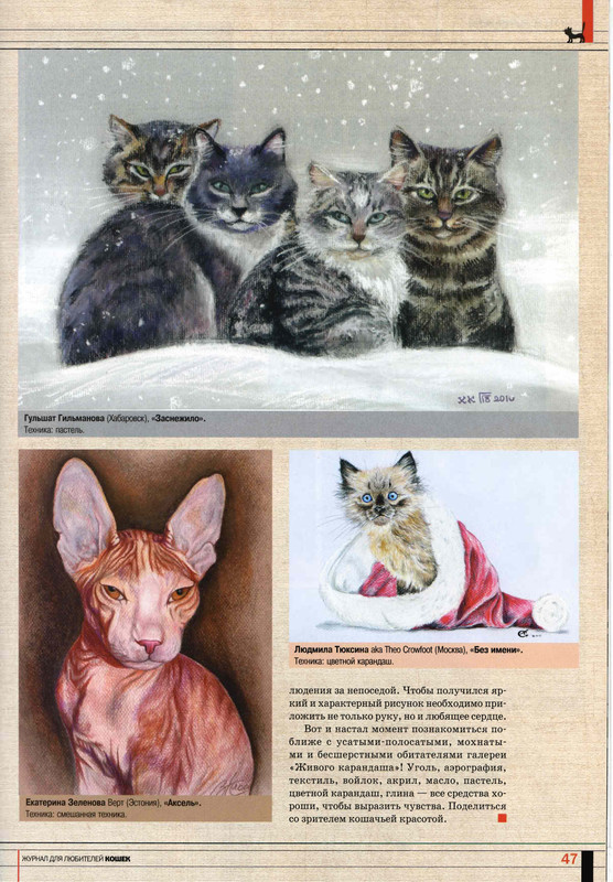 Друг кошек № 4 2010-46