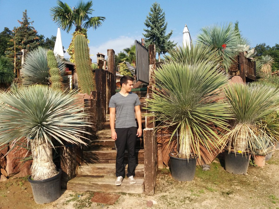 20180906_085324