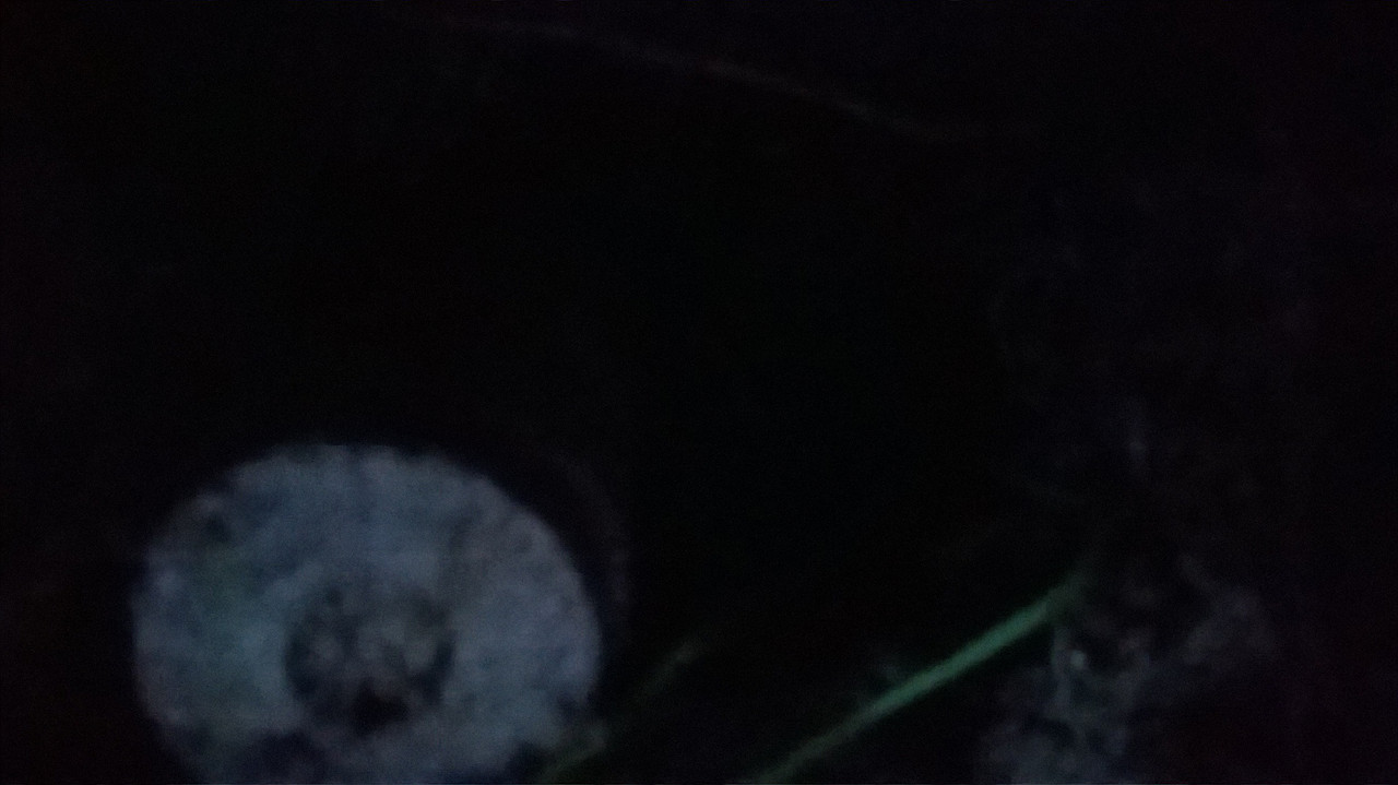 WP_20170705_043