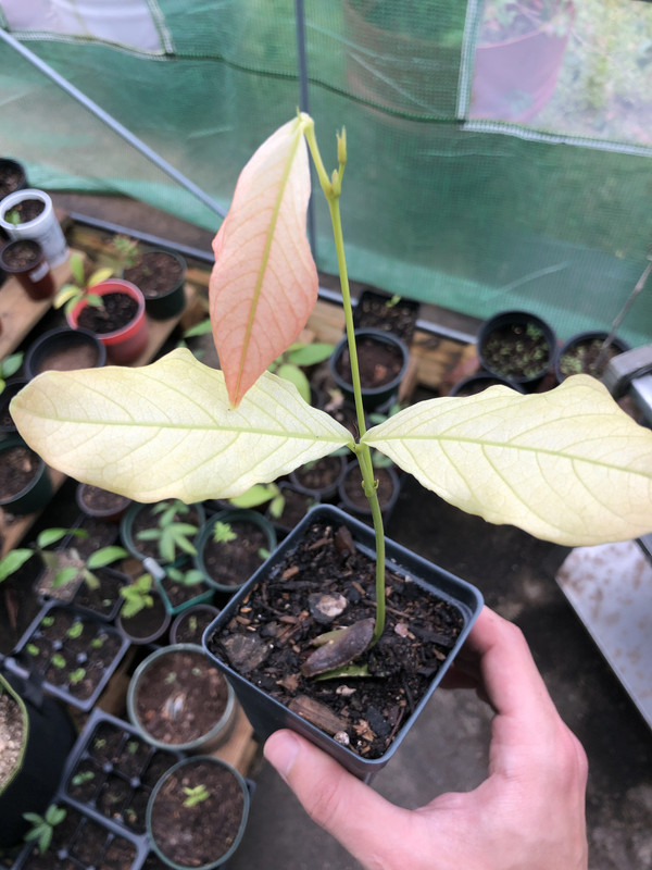 CDFC9CA7-D742-4966-AF1A-70C4F8F27AE6