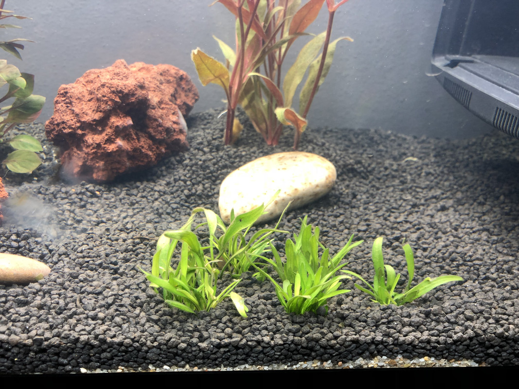 FD6FF834-F9CD-45E3-9A46-D9FDA476A199