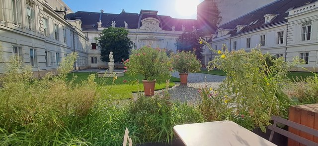 Viena: La ciudad de la música, de las artes y de los sueños - Blogs de Austria - Información del viaje y planes para la estancia. (1)