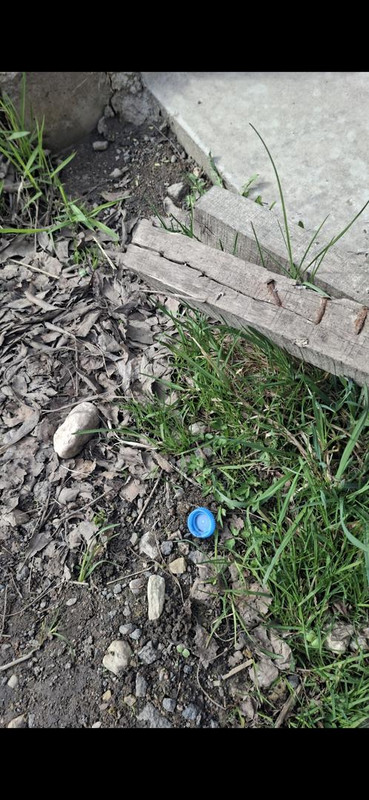 Screenshot 20260412 160423 Gallery