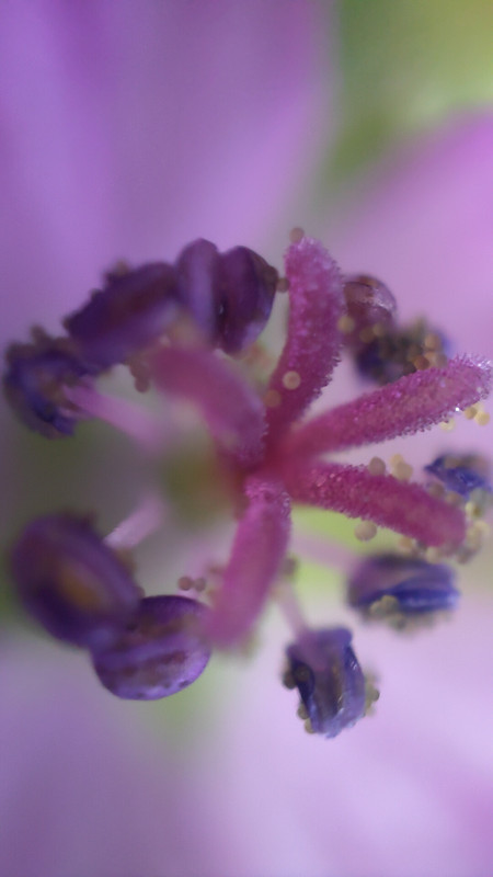 IMG20210402161418_01