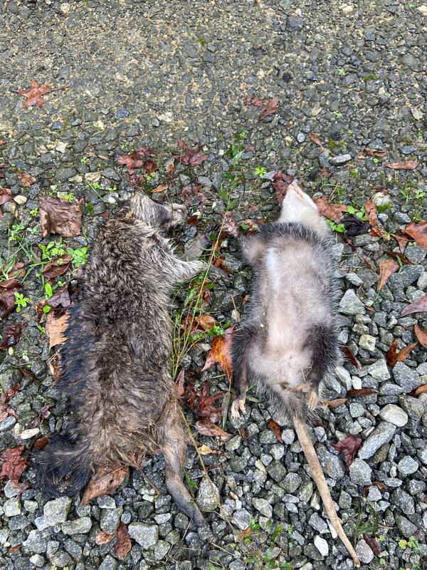 D0EB3CD5-D49C-45D3-8544-BF91254C7D68