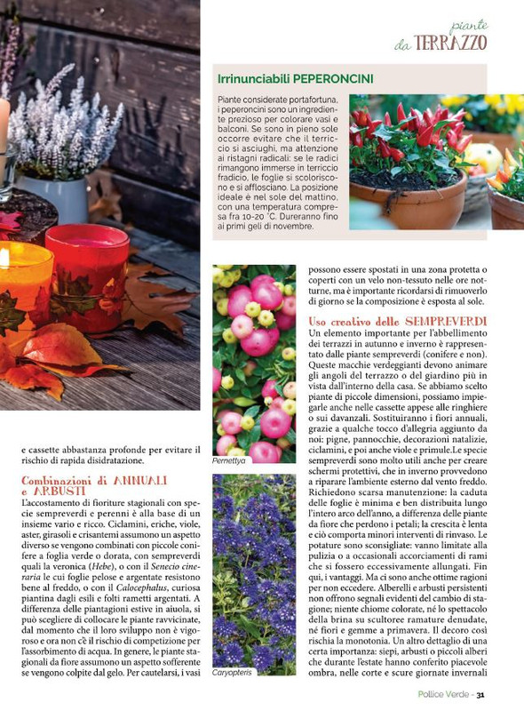 Pol Ver Ott 2022 (8)