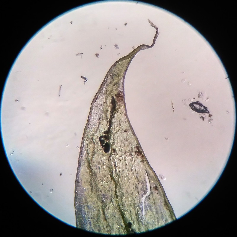 IMG 20250616 205456 HDR