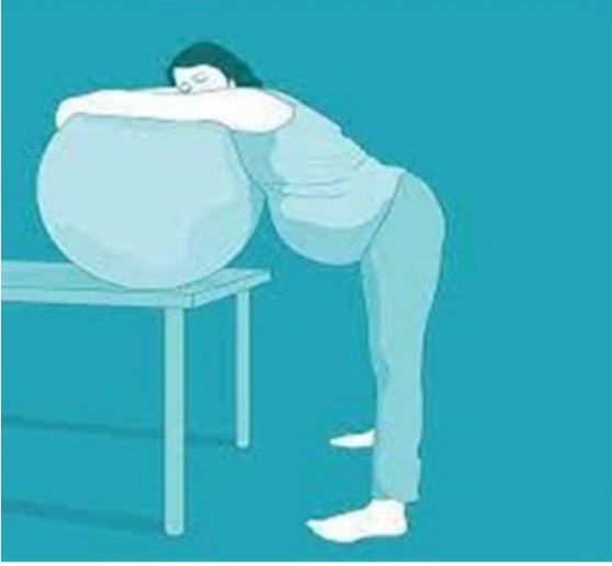 IMG_٢٠٢٤١٠٠٣_١٥٠٦٢٠