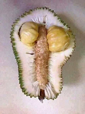 [Image: vq4w32n.jpg]