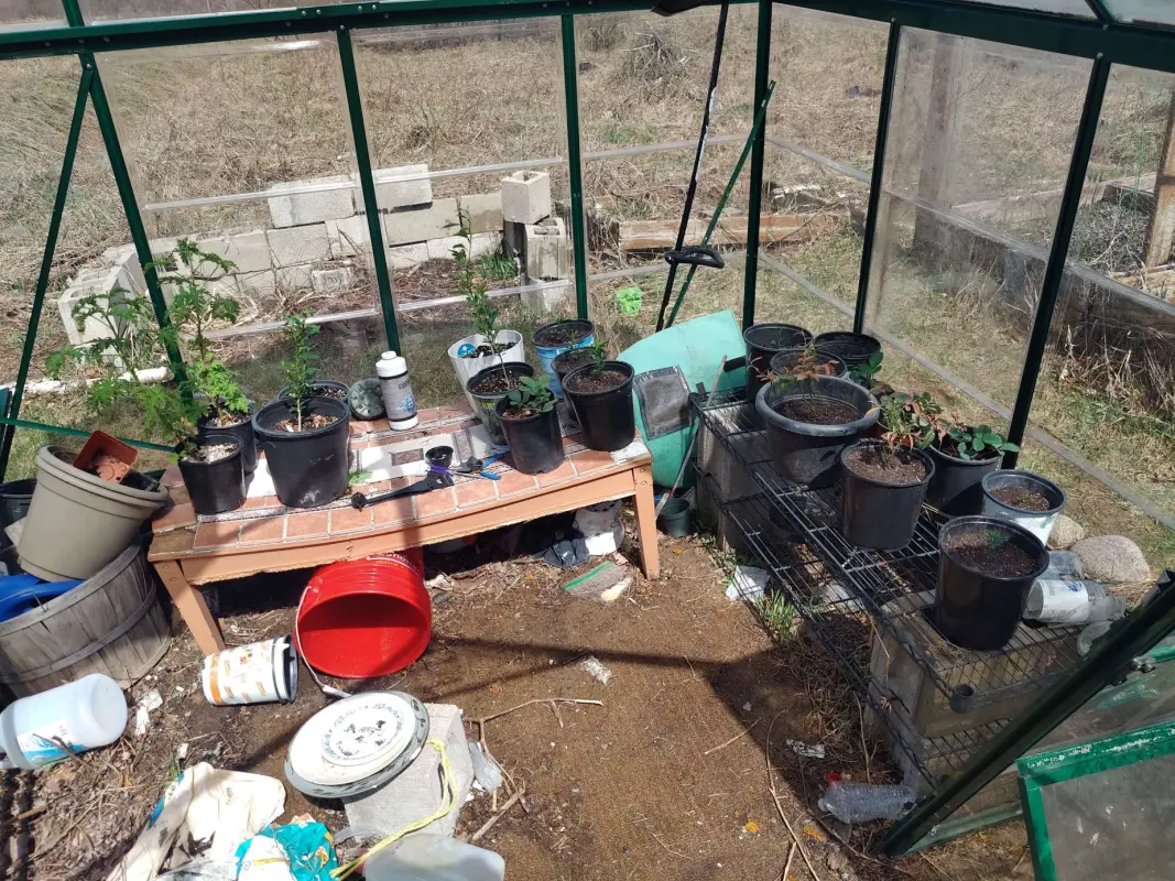 IMG_20250418_133015573