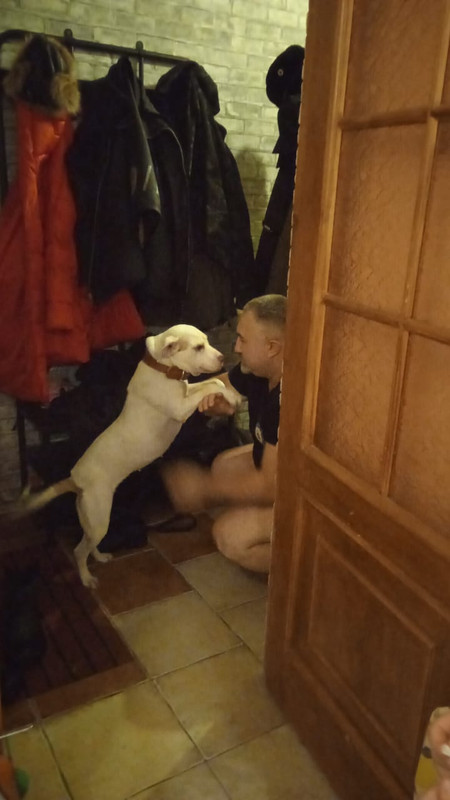 C738EE75-1FCC-4E05-9071-BB5D10ED41B5