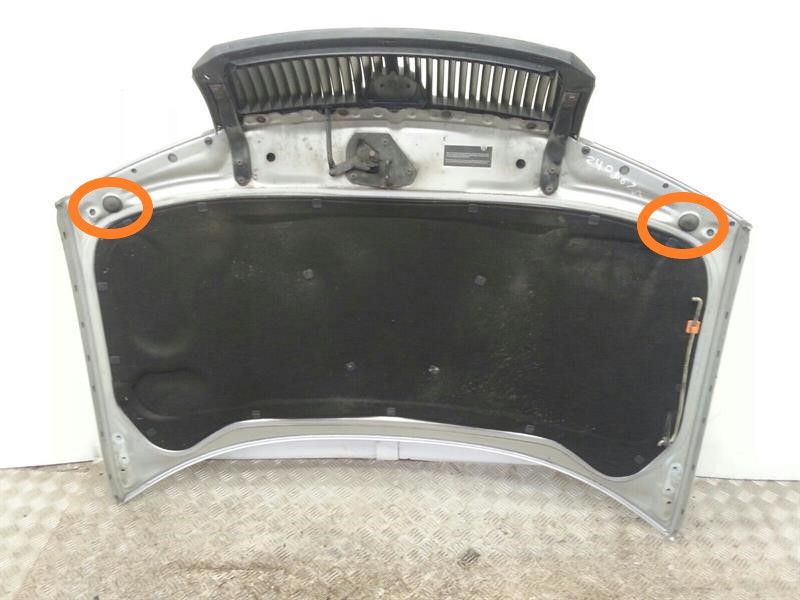 bonnet.jpg