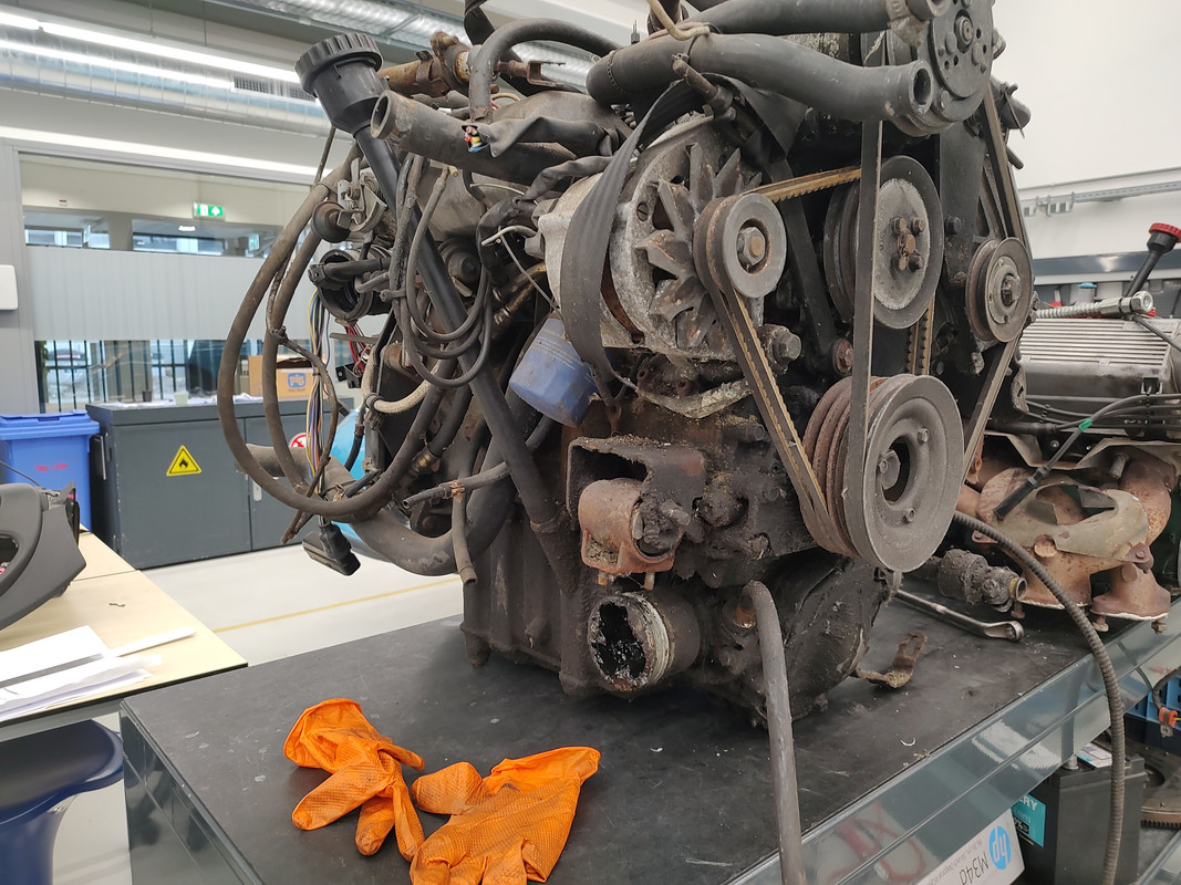 IMG_20241125_150654598