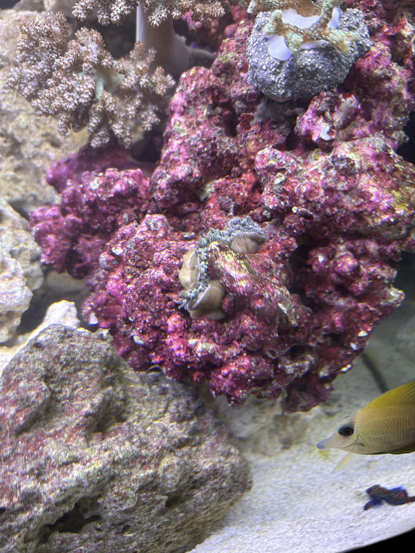 8ADD6519-B21E-4BF8-8359-5C7950C4DEAF