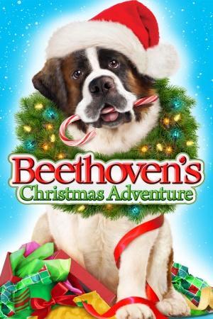 beethoven s christmas adventure 382978687 large - La aventura navideña de Beethoven Satrip Español (2011) Comedia Infantil