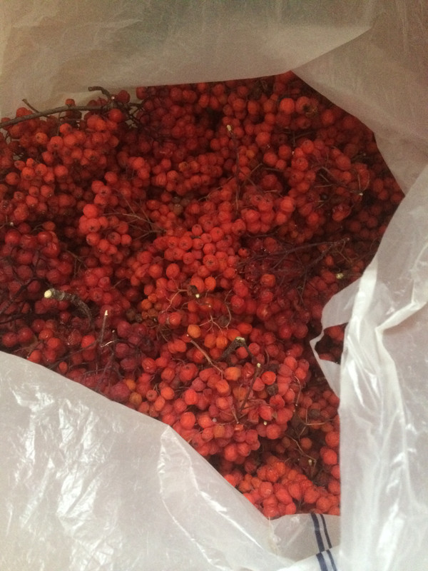 1AAC9C63-7B7F-44FA-979D-B7EA3E9F8534