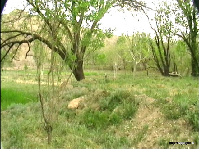 P-Apr04-114652