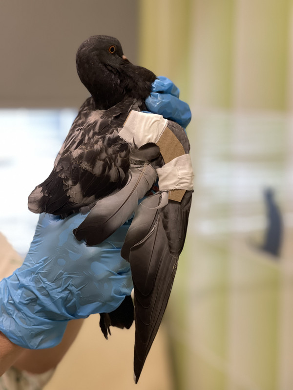 383654AE-B76A-40F8-9E67-329989B24C55