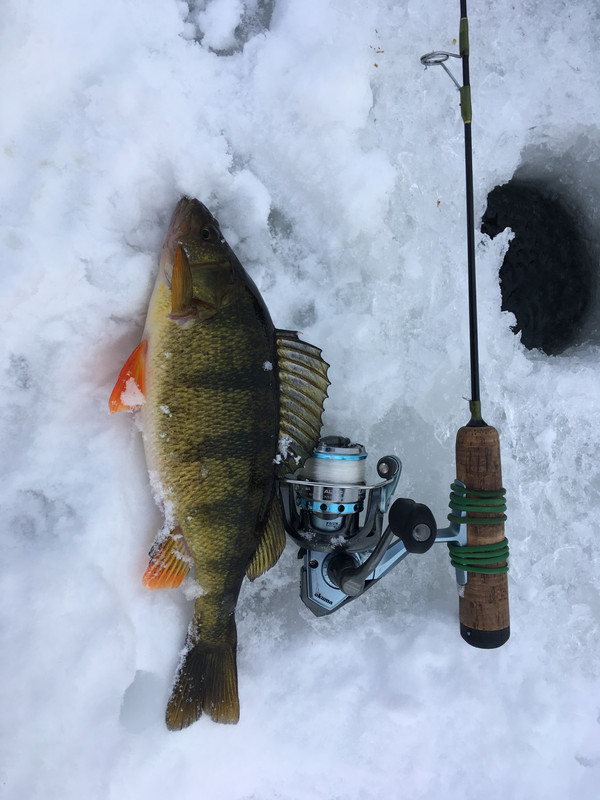 42E5B436-D709-47CF-A1B2-FB61E3BCB1FA