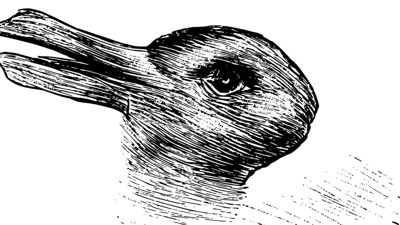 Test de personalidad ¿pato o conejo? Descubre tu mejor cualidad 