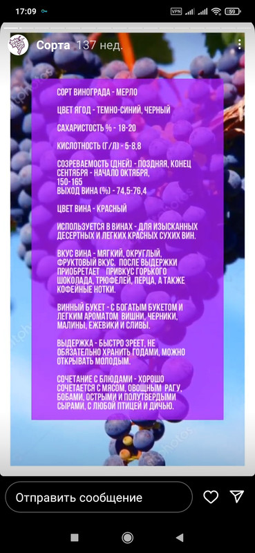 Screenshot_2023-03-24-17-09-50-389_com.instagram.android