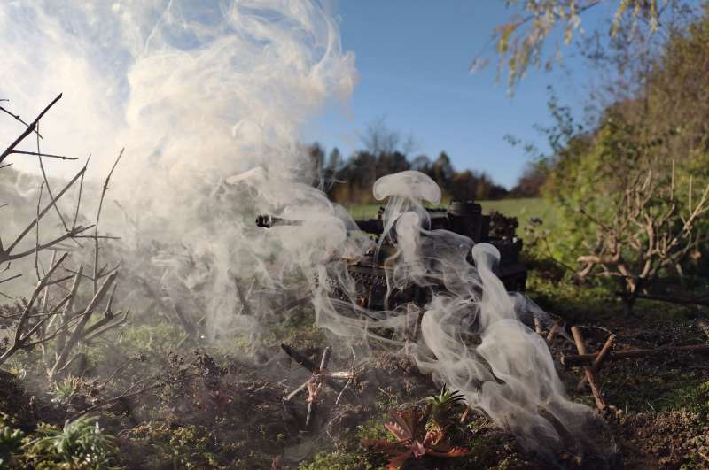 IMG_20241024_155015917_BURST002