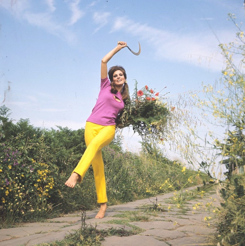 raquel_welch_f93