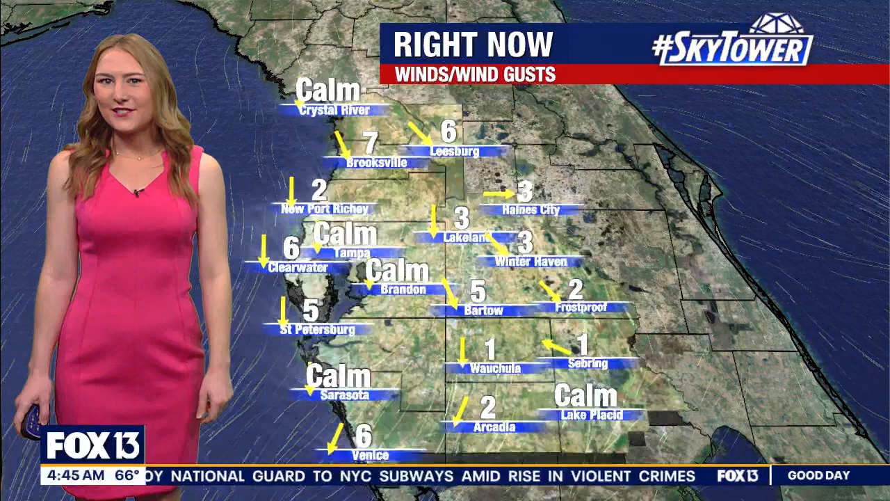 FOX13s Good Day Tampa Bay at 400am_20240307_09000930.ts_snapshot_47.01.322
