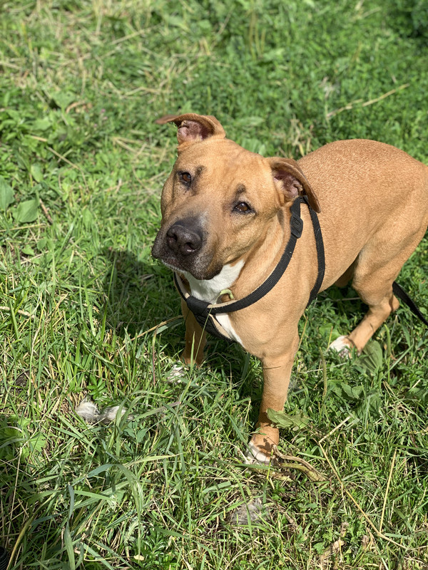 023F9272-B62A-4AAD-8844-66D1869F1515