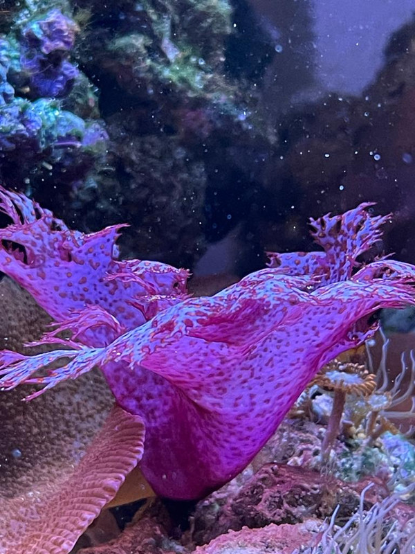 3433E608-F6F5-4E85-BEE5-5E3FD62DFAFB