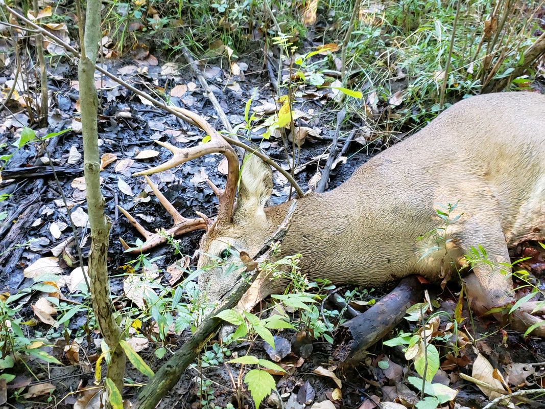 6CA00BA1-4B3C-4DD2-8D23-378119DE8752