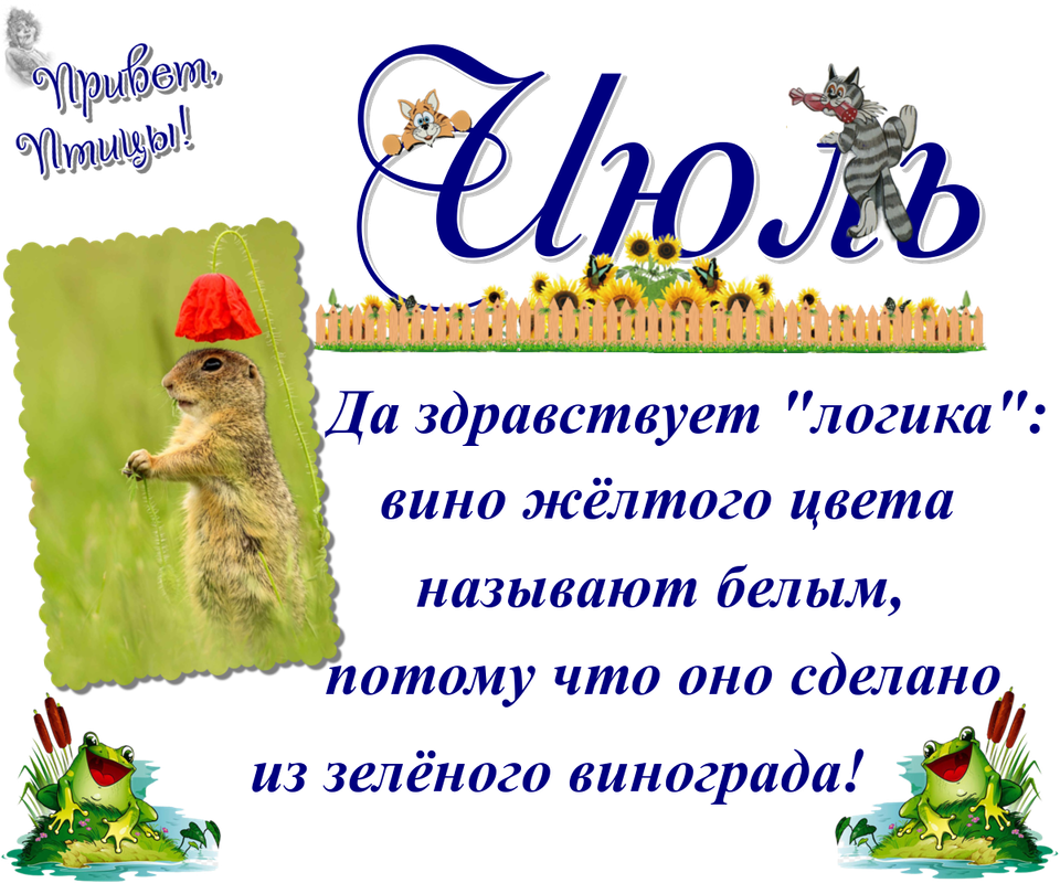 https://i.postimg.cc/XJrqc045/16-07.png