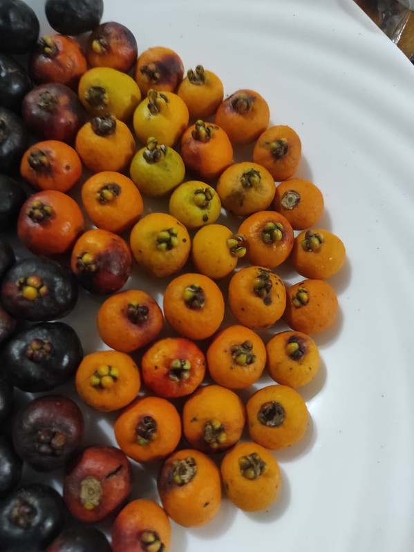 WhatsApp Image 2021-07-16 at 01.11.58 (1)