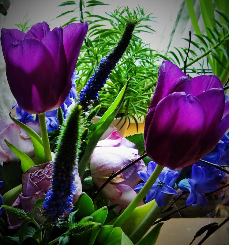 465760483-9669767919719158-2184856265475218966-n