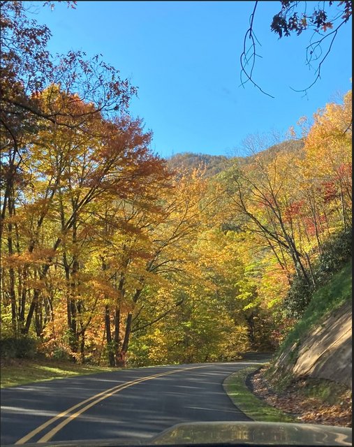 [Image: NCBlue-Ridge-Parkway2022-Fall3.jpg]