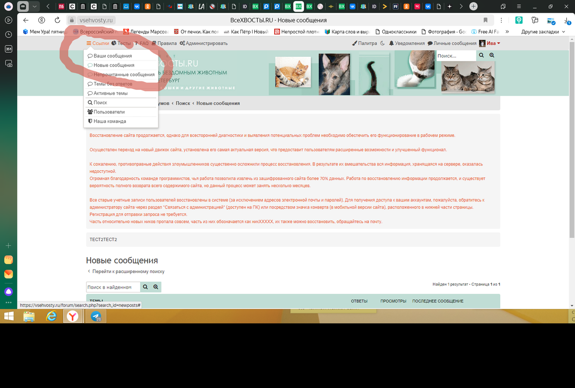2025-05-14_19-36-04новые сообщения