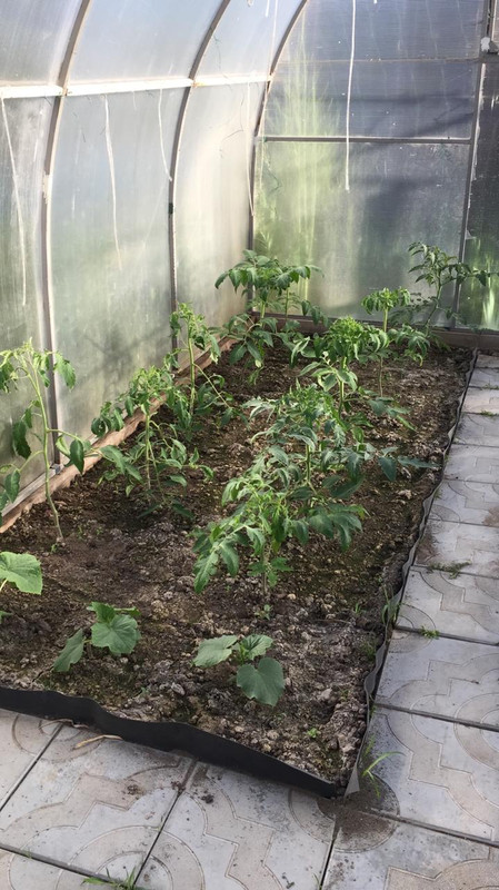 BE7835F3-8B89-45C7-84C6-80C6CD4579FD