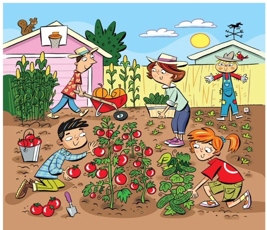 Ekranuznemums 2025 11 08 105613