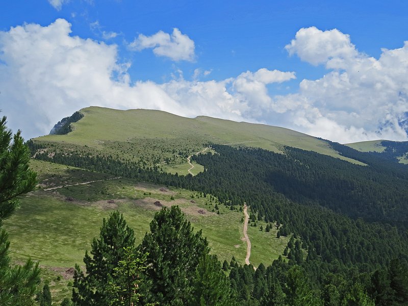 https://i.postimg.cc/XJttkT4X/207-IMG-1035.jpg